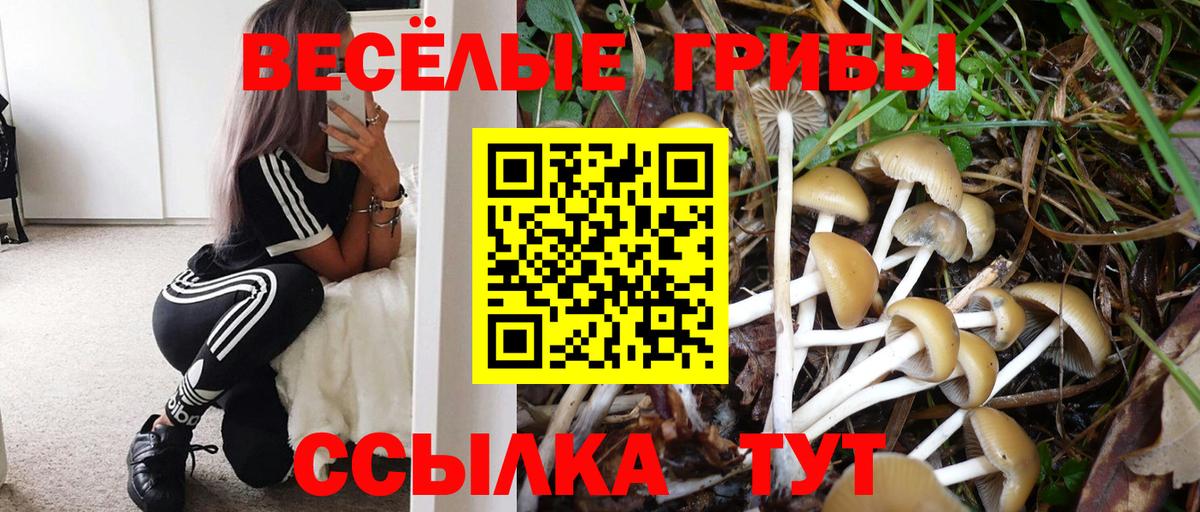 Галлюциногенные грибы GOLDEN TEACHER  Псилоцибиновые грибы мухоморы  наркота  Мурино  Вход с VPN 